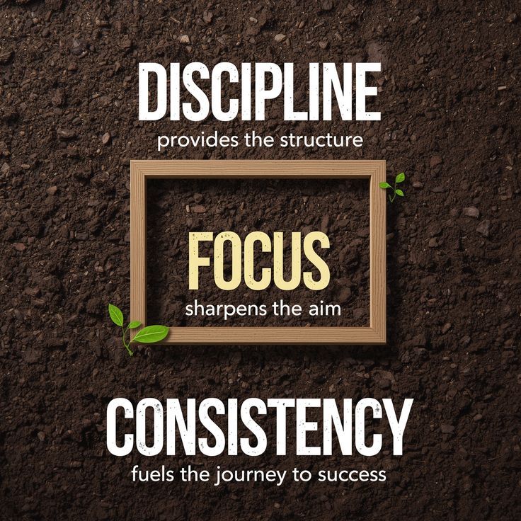 discipline focus